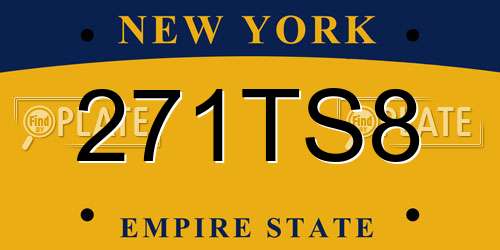 271TS8 New York License Plate