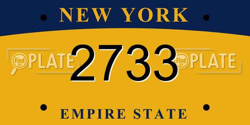 2733 New York License Plate