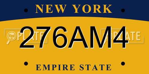 276AM4 New York License Plate