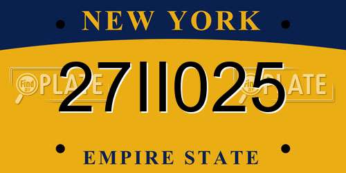 27II025 New York License Plate
