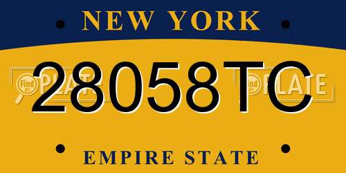28058TC New York License Plate