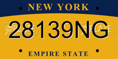 28139NG New York License Plate