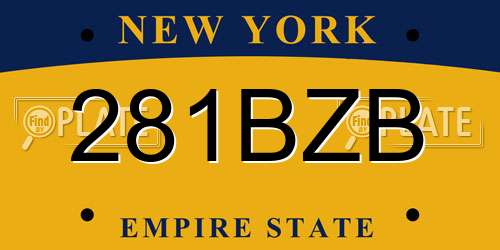 281BZB New York License Plate