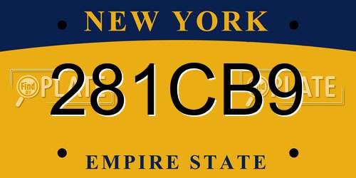 281CB9 New York License Plate