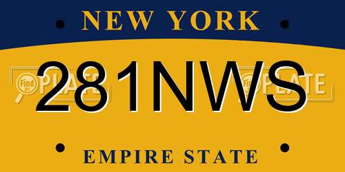 281NWS New York License Plate