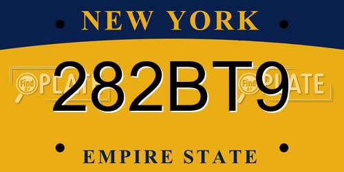 282BT9 New York License Plate