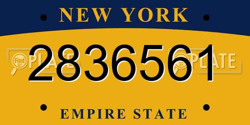 2836561 New York License Plate