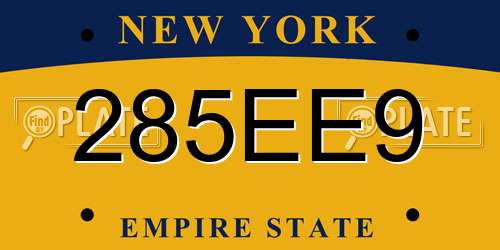 285EE9 New York License Plate