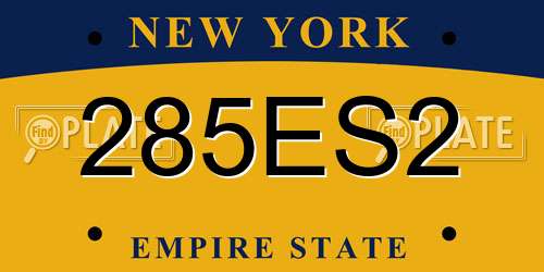 285ES2 New York License Plate