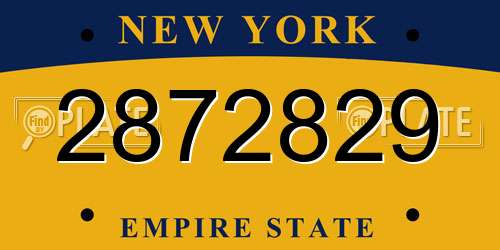 2872829 New York License Plate