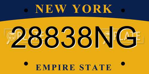 28838NG New York License Plate