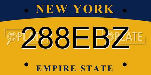 288EBZ New York License Plate