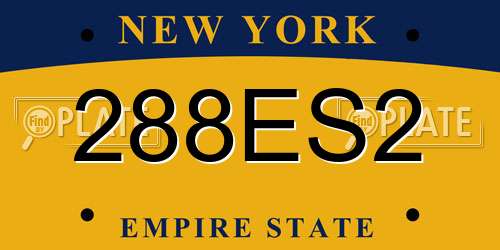 288ES2 New York License Plate