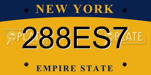 288ES7 New York License Plate