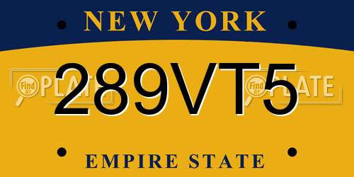 289VT5 New York License Plate
