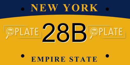 28B New York License Plate