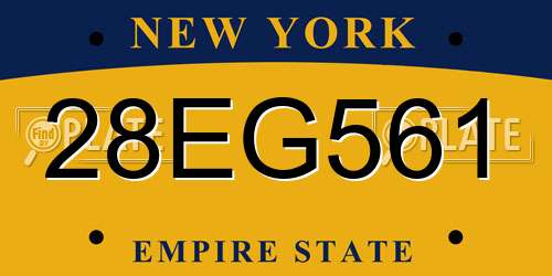 28EG561 New York License Plate