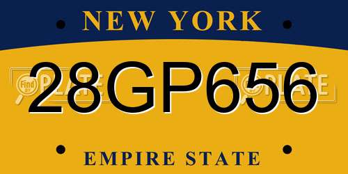 28GP656 New York License Plate