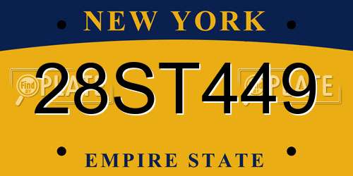 28ST449 New York License Plate