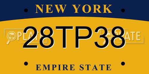 28TP38 New York License Plate