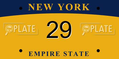 29 New York License Plate