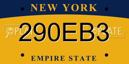 290EB3 New York License Plate