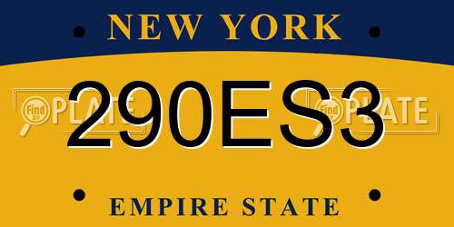 290ES3 New York License Plate