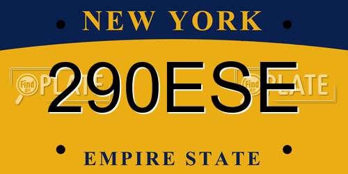 290ESE New York License Plate