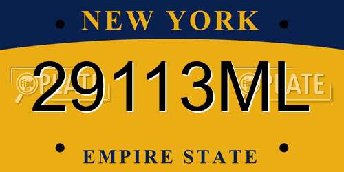 29113ML New York License Plate