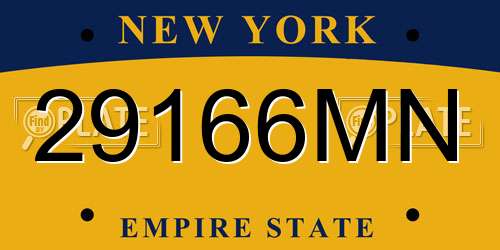 29166MN New York License Plate