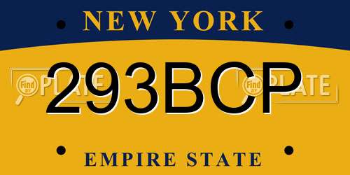 293BCP New York License Plate