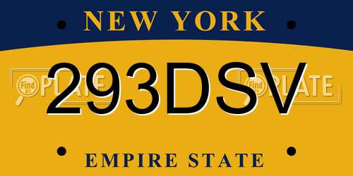 293DSV New York License Plate