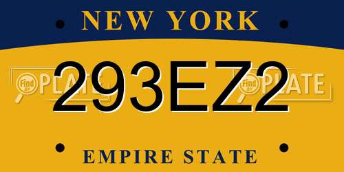 293EZ2 New York License Plate