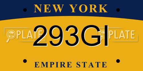 293GI New York License Plate