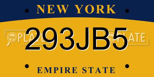 293JB5 New York License Plate