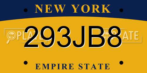 293JB8 New York License Plate