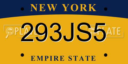 293JS5 New York License Plate