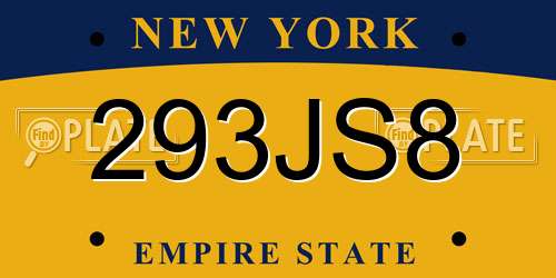 293JS8 New York License Plate