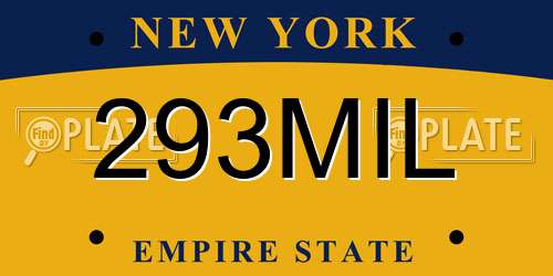 293MIL New York License Plate