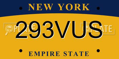 293VUS New York License Plate