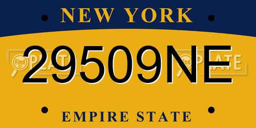 29509NE New York License Plate
