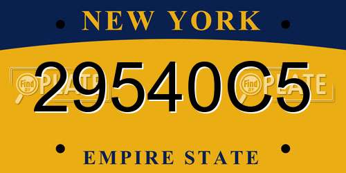 29540C5 New York License Plate