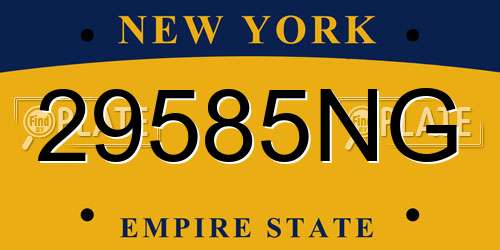 29585NG New York License Plate