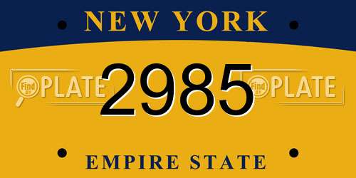 2985 New York License Plate