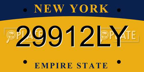 29912LY New York License Plate
