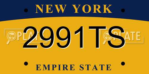 2991TS New York License Plate