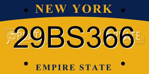 29BS366 New York License Plate