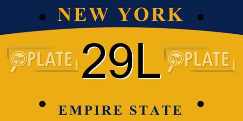 29L New York License Plate