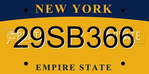 29SB366 New York License Plate