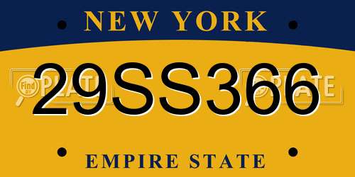 29SS366 New York License Plate